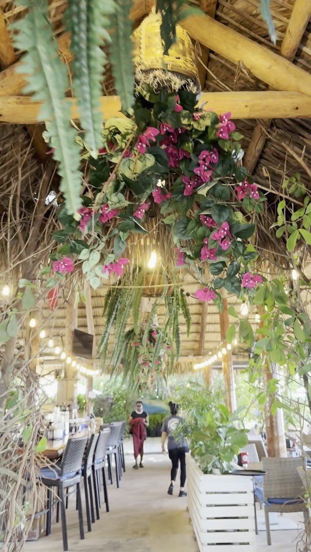 Interior of Patrona Coastal Cafe, specialty coffee shop in Tampa-St. Petersburg