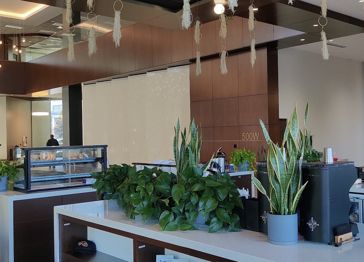 Interior of Barista Parlor 500W, specialty coffee shop in Louisville