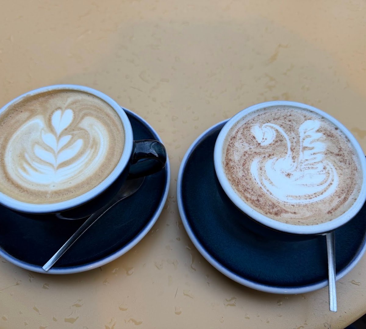 Terres de Café specialty coffee shop in Paris - photo 8