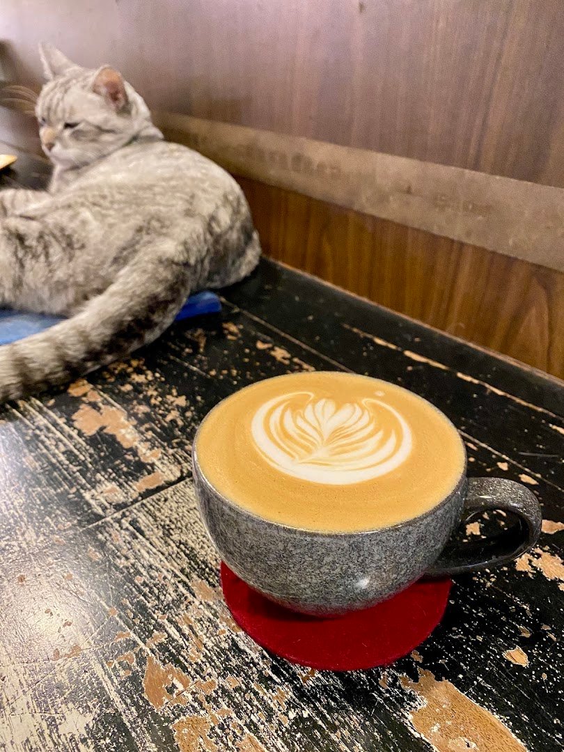 YABOO Cafe specialty coffee shop in Taipei - photo 3
