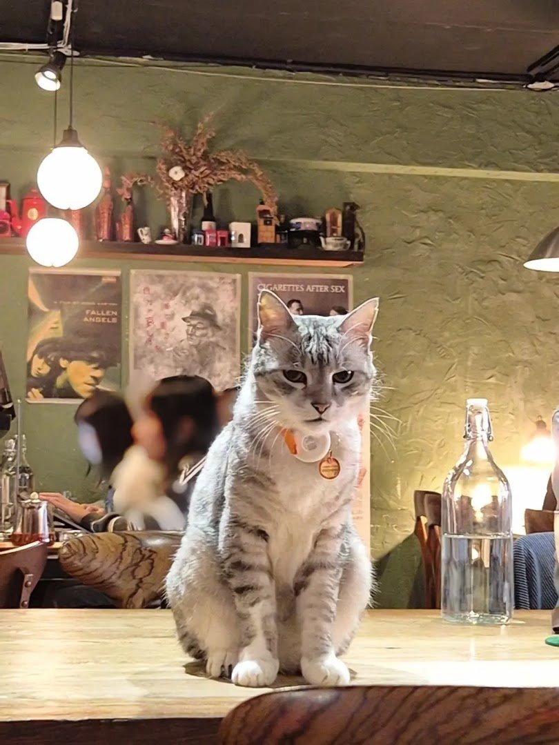 YABOO Cafe specialty coffee shop in Taipei - photo 5