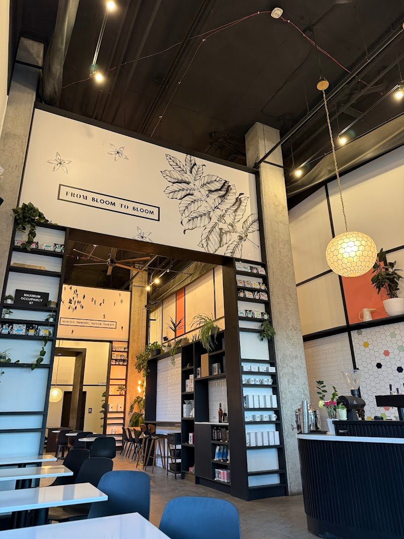 Sweet Bloom Coffee specialty coffee shop in Denver - photo 12