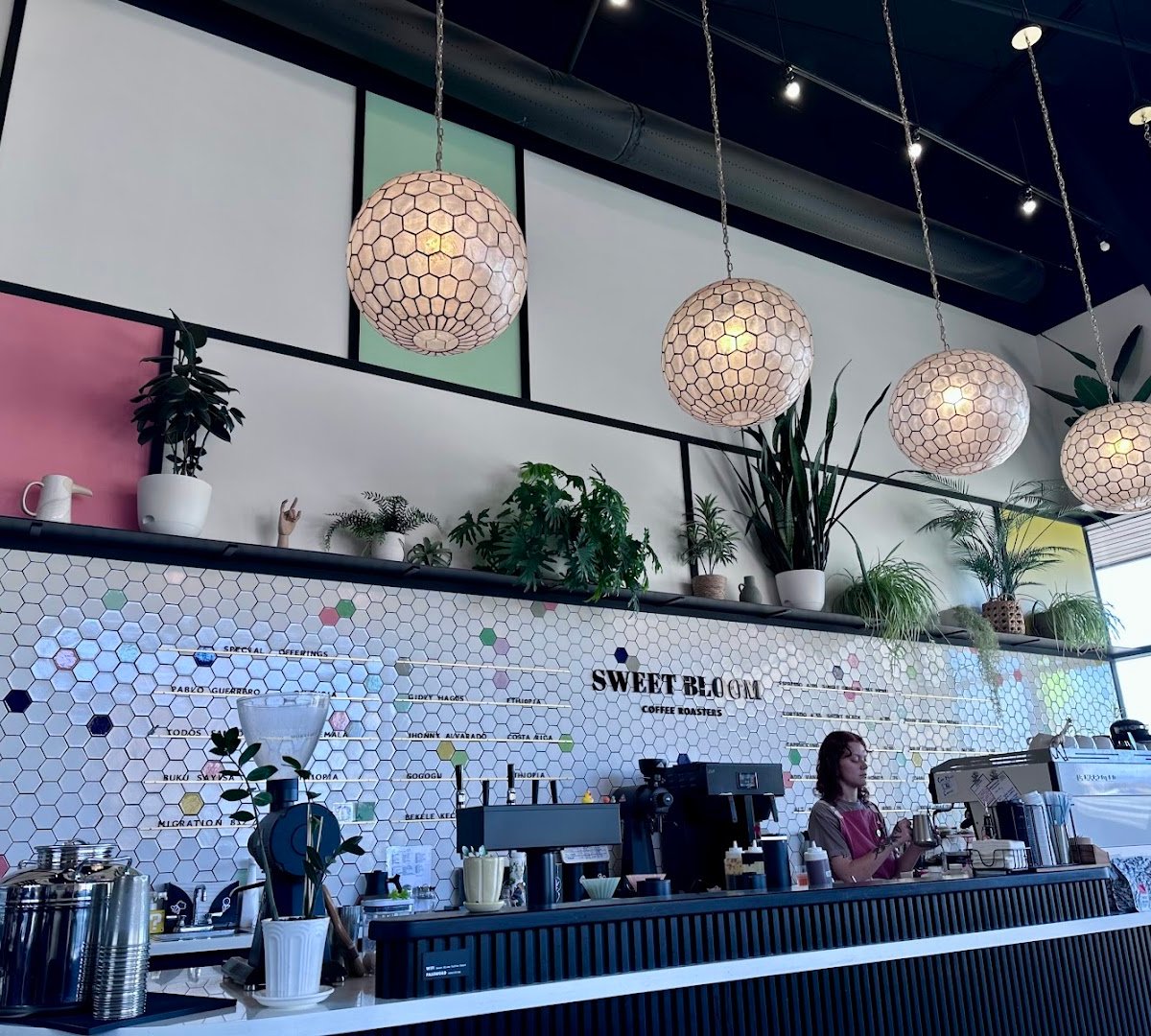 Sweet Bloom Coffee specialty coffee shop in Denver - photo 6