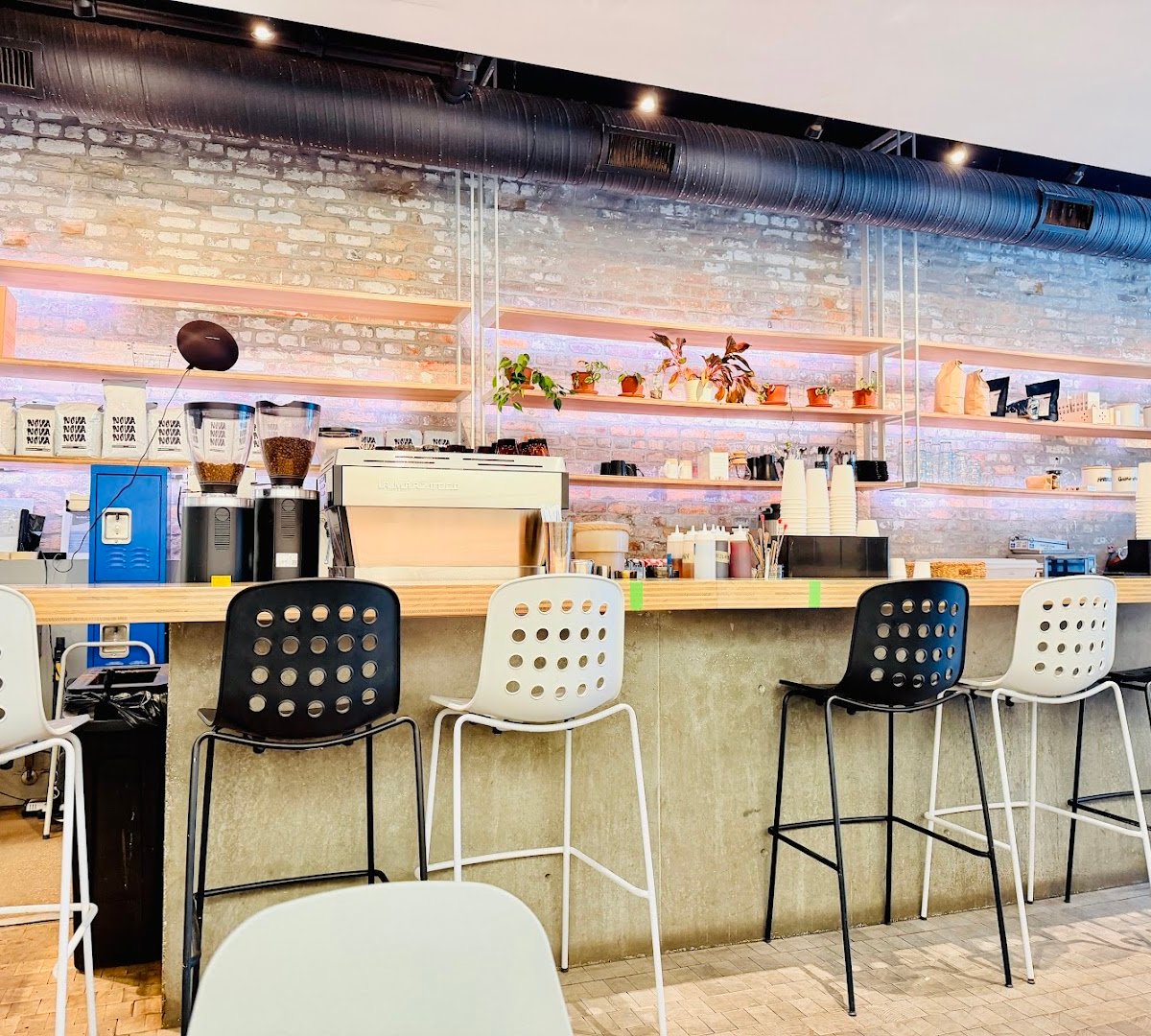 Interior of Nova Espresso, specialty coffee shop in New Orleans