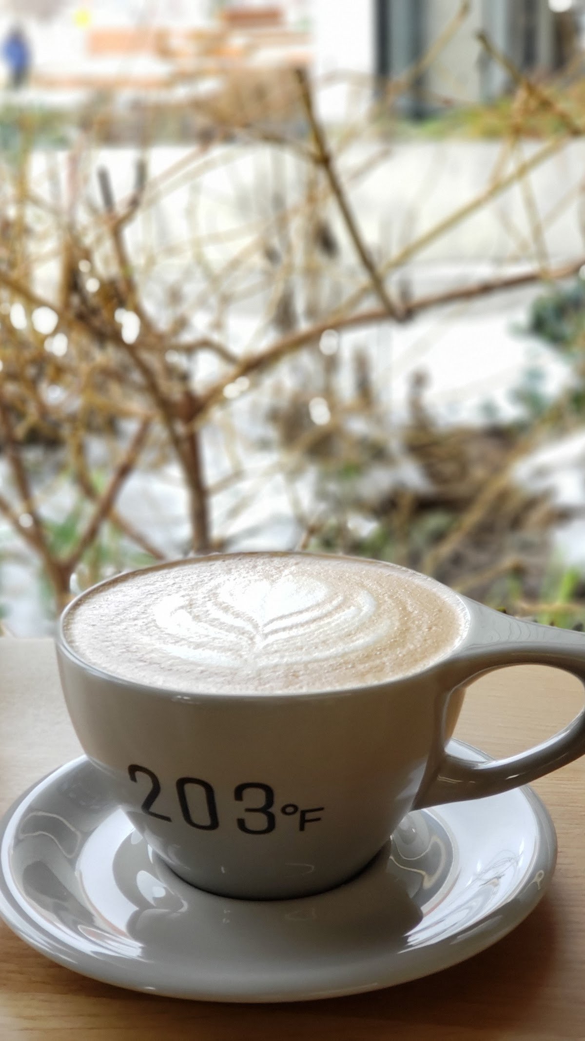 203° Fahrenheit Coffee Company specialty coffee shop in Seattle - photo 12