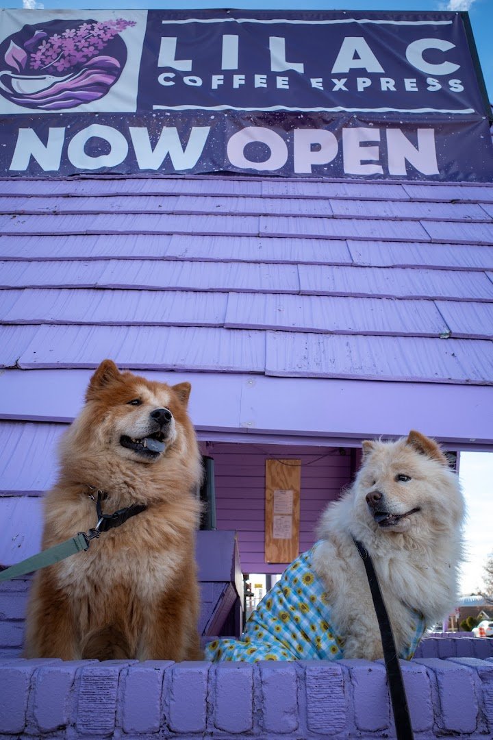 Lilac Coffee specialty coffee shop in Denver - photo 6