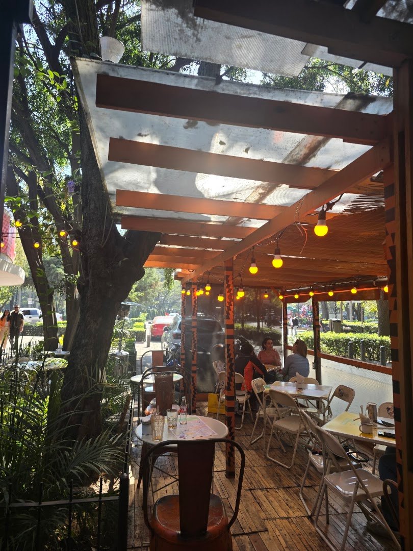 Interior of Boicot Café Polanco, specialty coffee shop in Mexico City