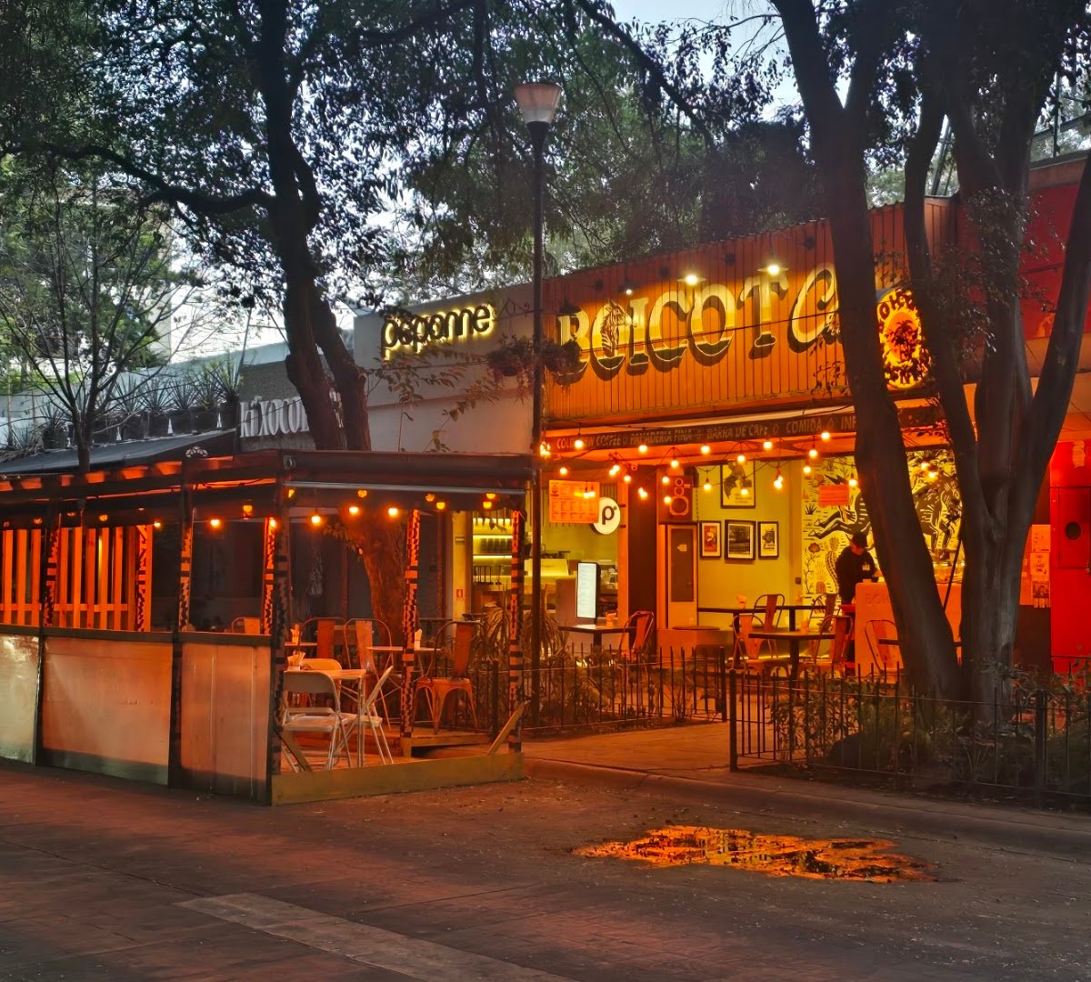 Storefront of Boicot Café Polanco, specialty coffee shop in Mexico City