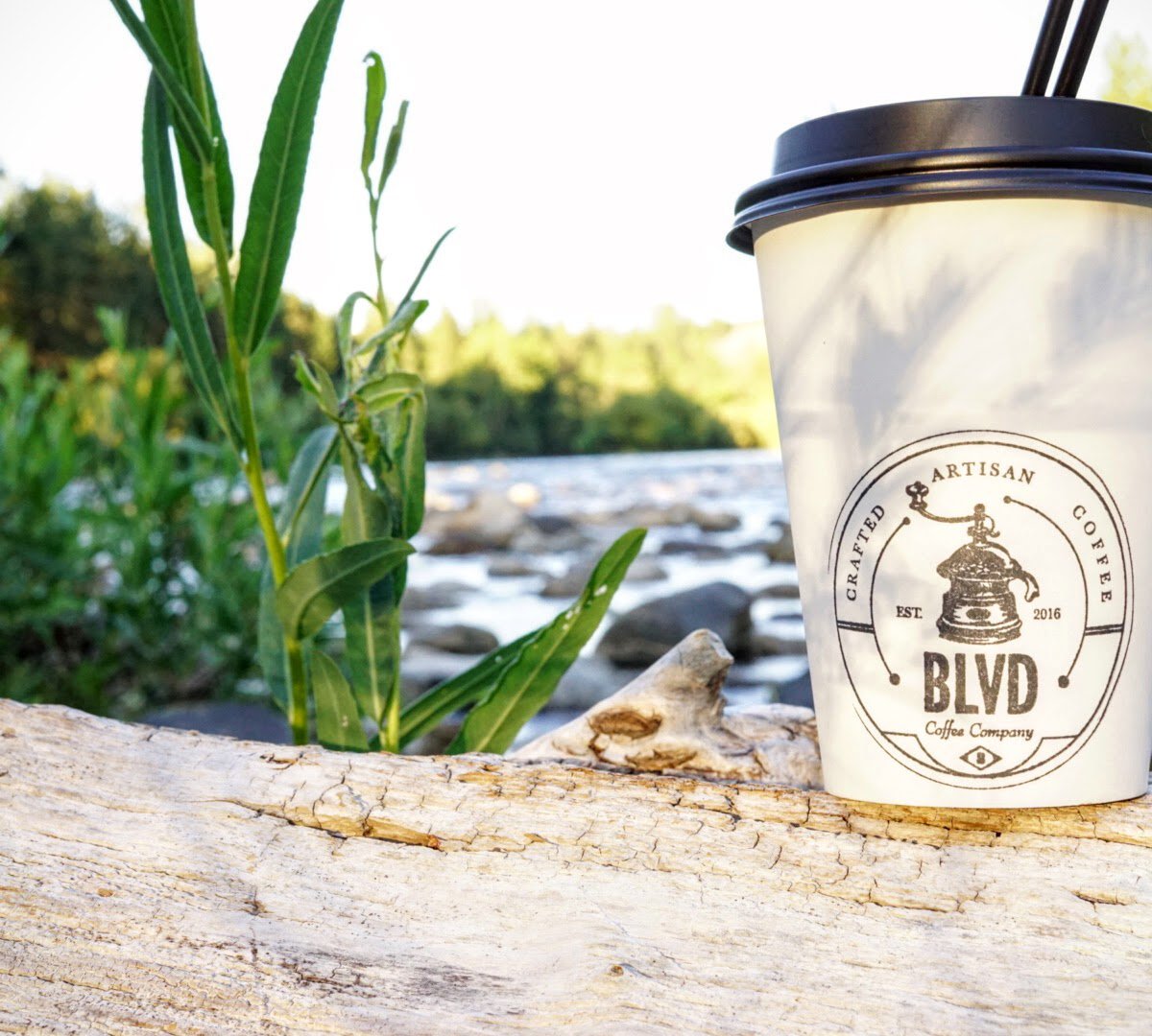 Coffee at The Blvd Coffee Company, specialty coffee shop in Spokane
