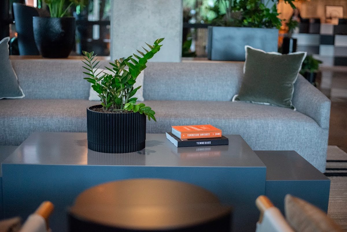 8th & Roast specialty coffee shop in Nashville - photo 5