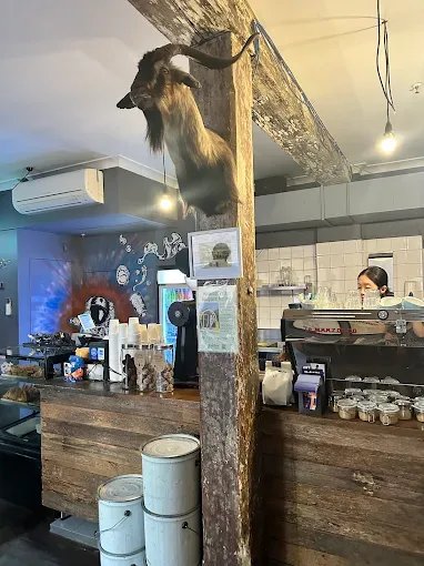 Cabrito Coffee Traders specialty coffee shop in Sydney - photo 3