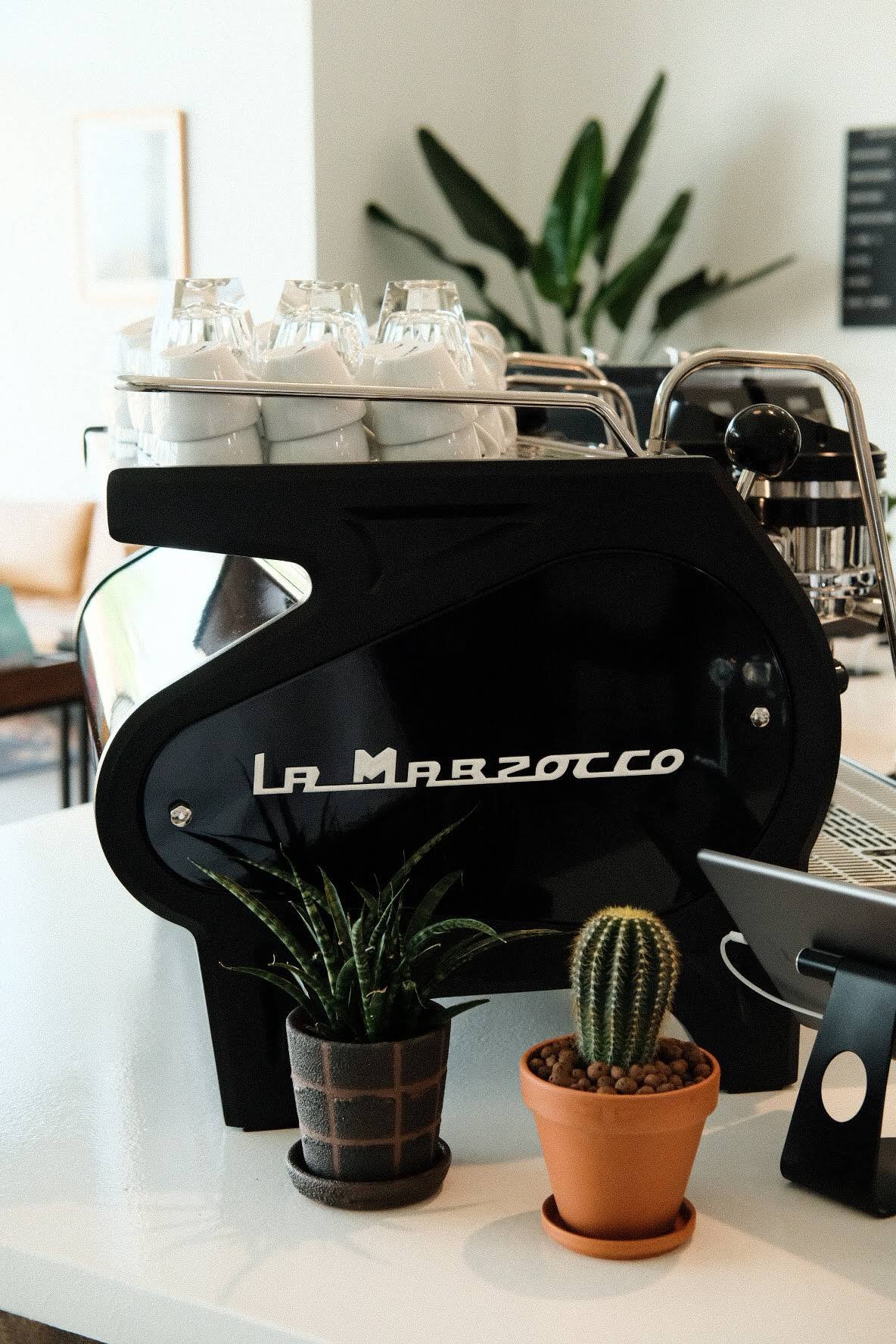 Wayward Coffee Co specialty coffee shop in Dallas - photo 12