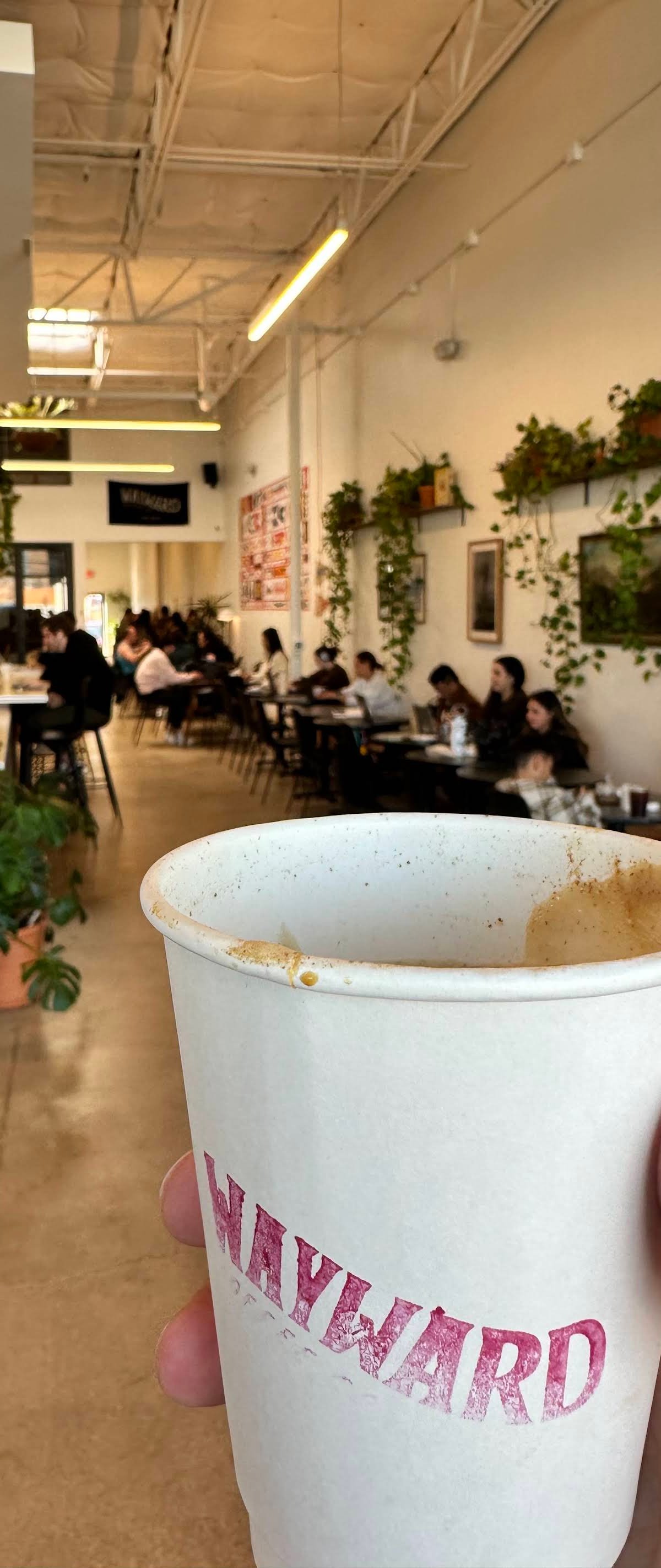 Wayward Coffee Co specialty coffee shop in Dallas - photo 17