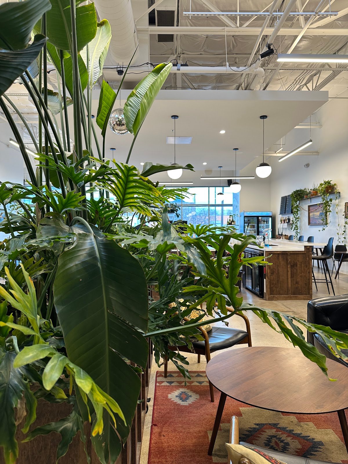 Wayward Coffee Co specialty coffee shop in Dallas - photo 4