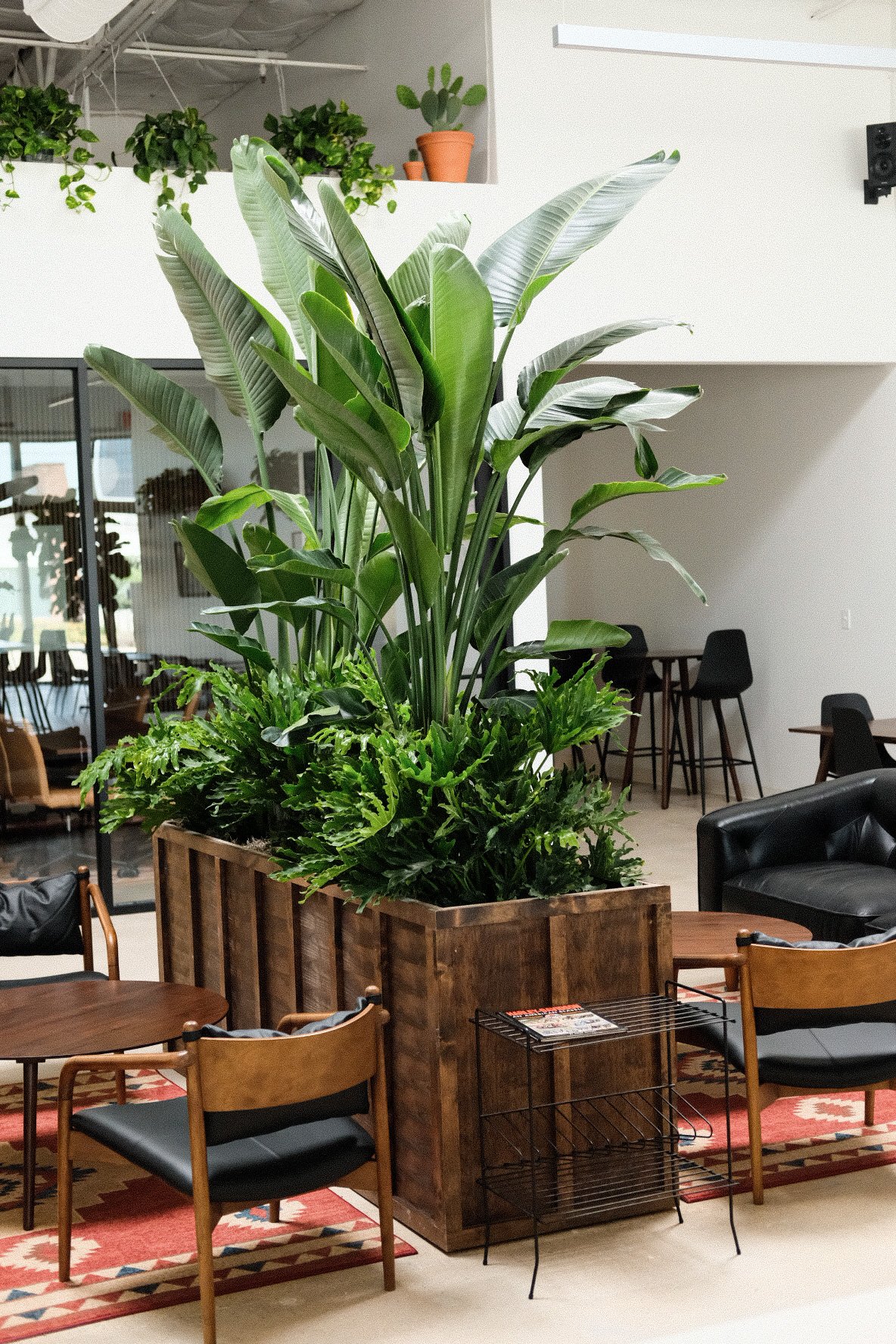 Wayward Coffee Co specialty coffee shop in Dallas - photo 8