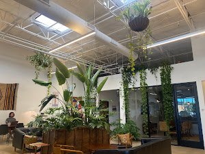 Wayward Coffee Co specialty coffee shop in Dallas - photo 10