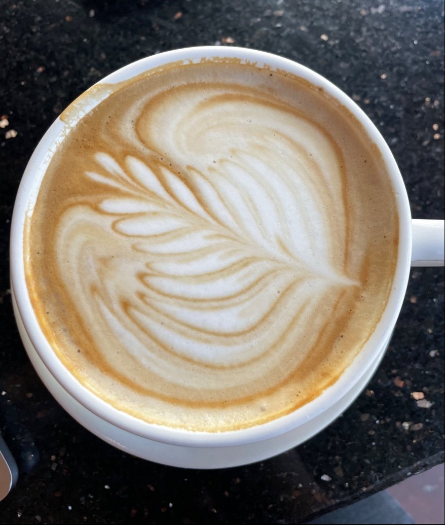 Caffe Luce specialty coffee shop in Tucson - photo 5