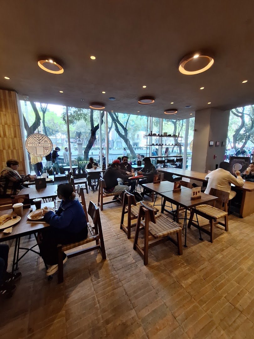 Interior of Tierra Garat Reforma, specialty coffee shop in Mexico City