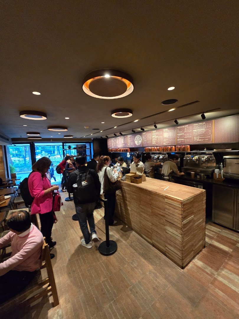 Interior of Tierra Garat Reforma, specialty coffee shop in Mexico City