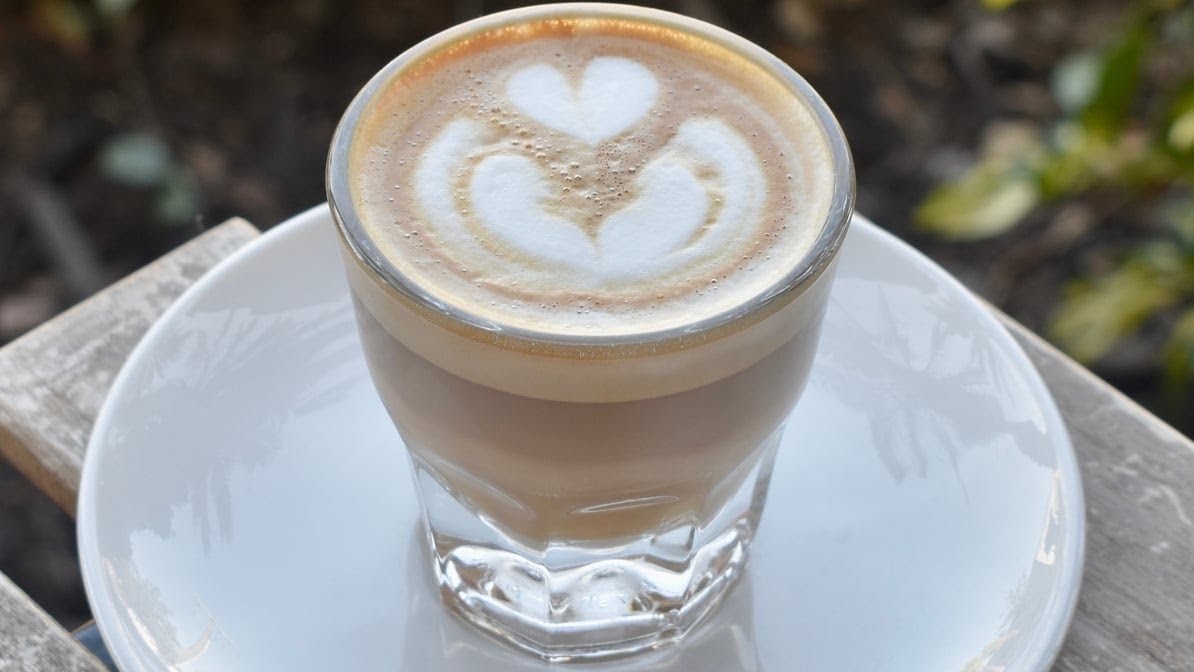 Coffee at Blind Tiger Coffee Roasters, specialty coffee shop in Tampa-St. Petersburg