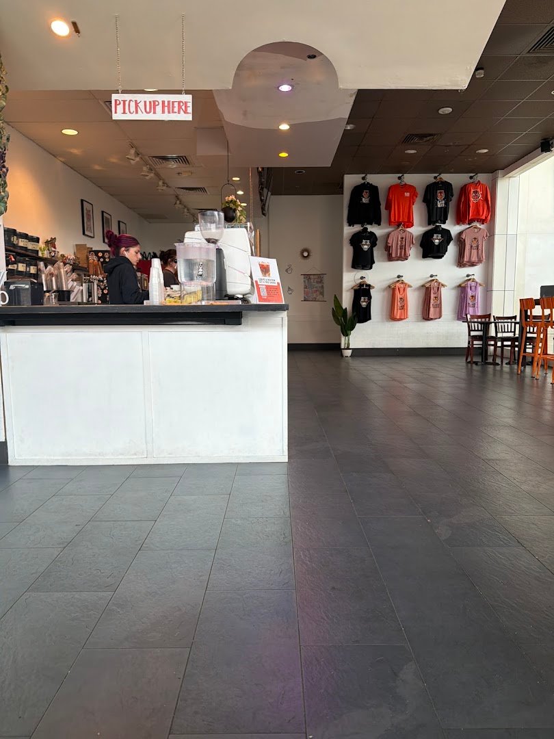 Interior of Blind Tiger Coffee Roasters, specialty coffee shop in Tampa-St. Petersburg