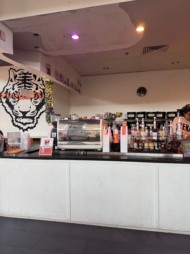 Interior of Blind Tiger Coffee Roasters, specialty coffee shop in Tampa-St. Petersburg