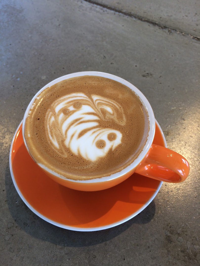 Prodigy Coffeehouse / 40th & Colorado specialty coffee shop in Denver - photo 2