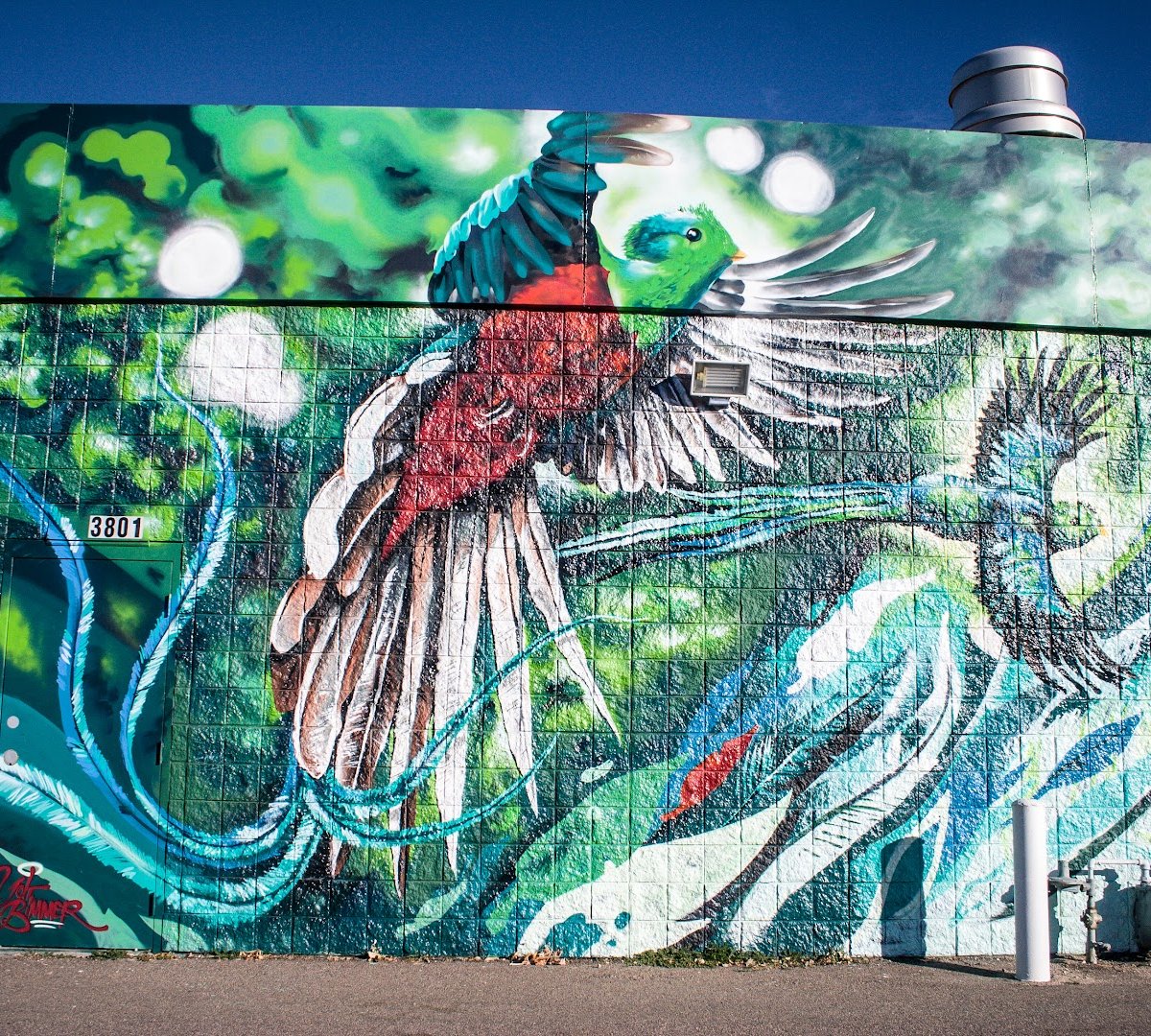 Prodigy Coffeehouse / 40th & Colorado specialty coffee shop in Denver - photo 7