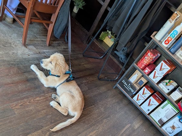 Zoka Coffee Roaster & Tea Co specialty coffee shop in Seattle - photo 13