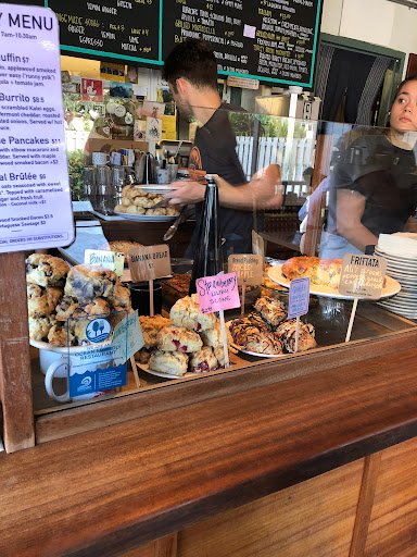 Morning Glass Coffee specialty coffee shop in Honolulu - photo 9