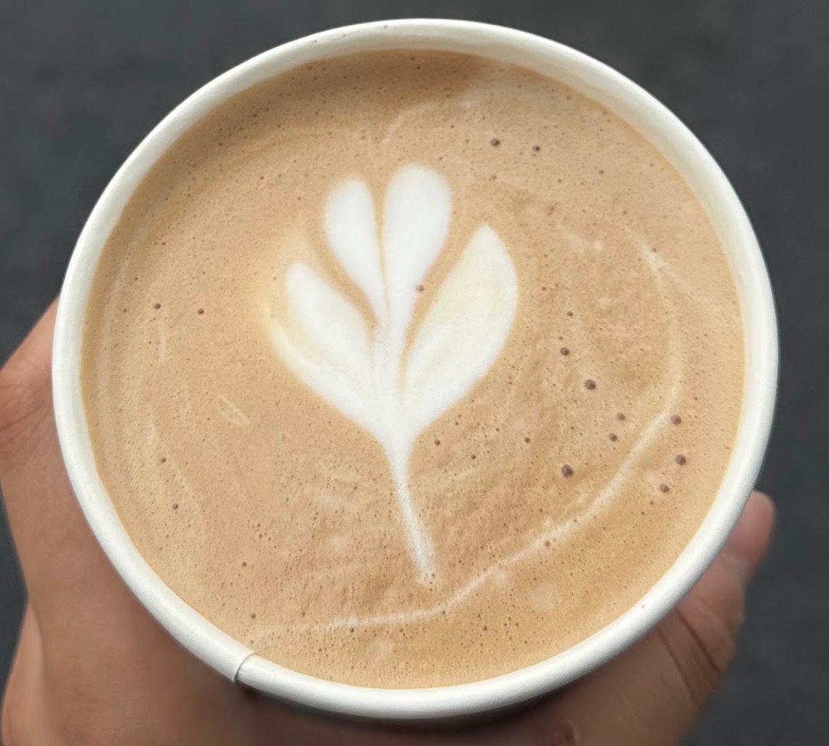 Qaffee House Food Truck specialty coffee shop in Baltimore - photo 2
