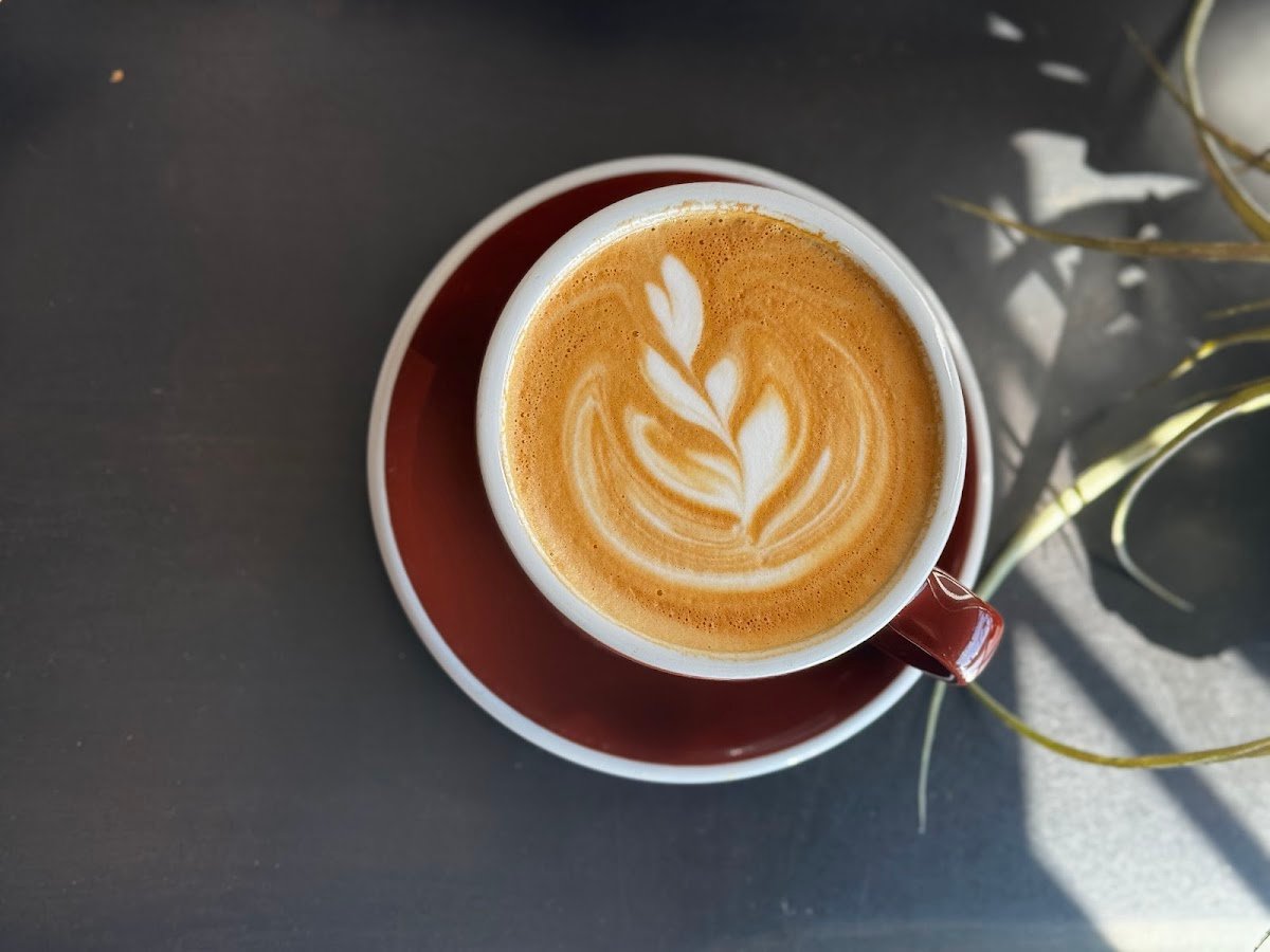 Alchemist Coffee Project specialty coffee shop in Los Angeles - photo 3