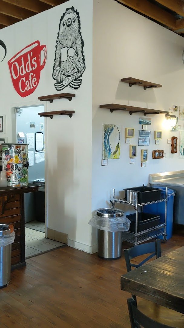 Odd's Cafe specialty coffee shop in Asheville - photo 7