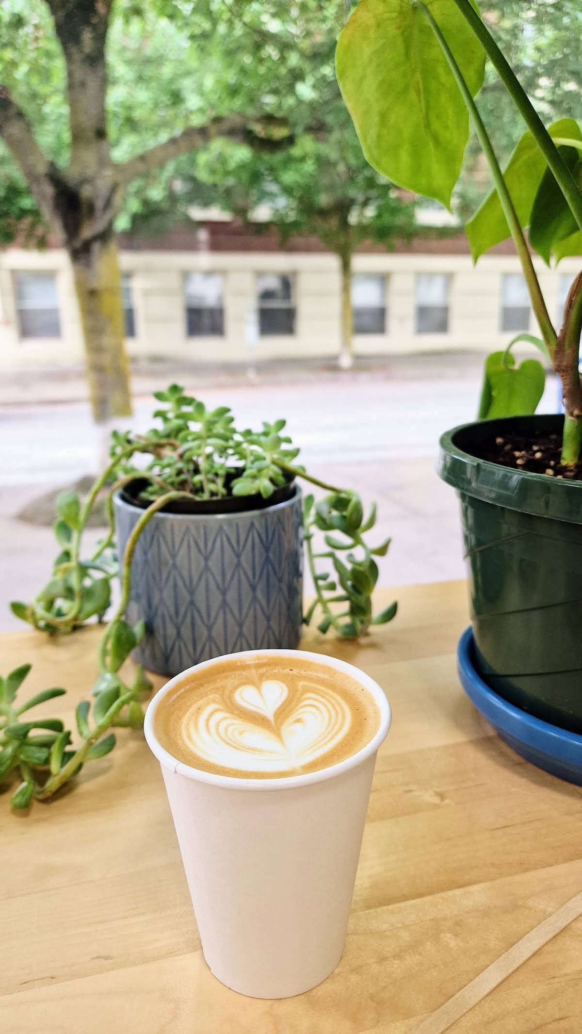 Superjoy Coffee specialty coffee shop in Portland - photo 14