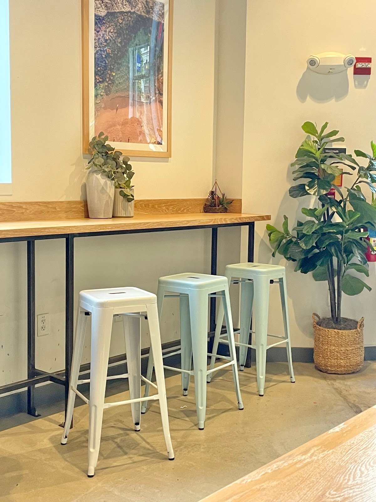 Bluestone Lane Metro Center Coffee Shop specialty coffee shop in Washington, D.C. - photo 4