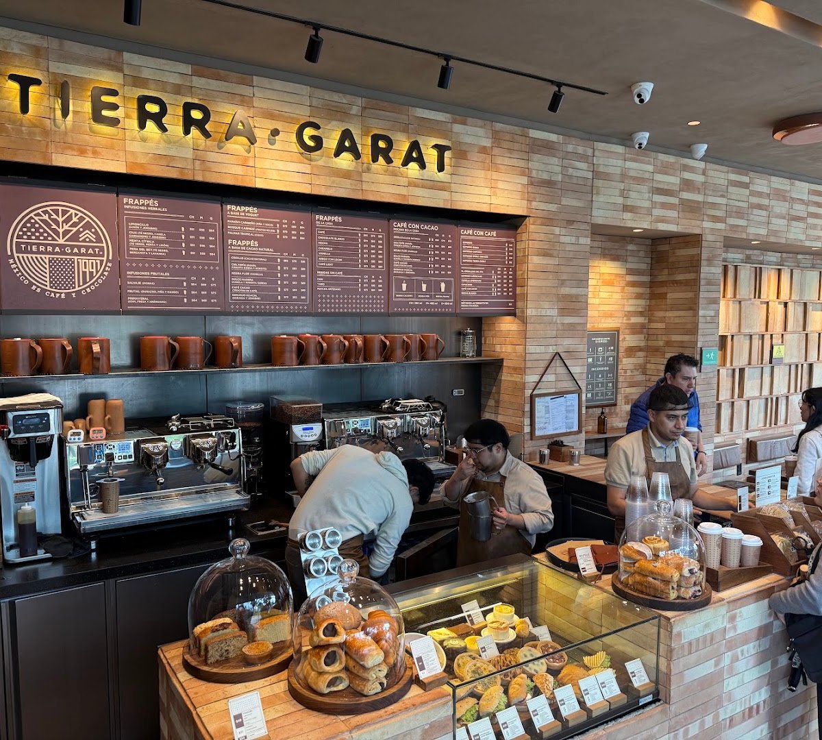 Interior of Tierra Garat Porfirio Díaz, specialty coffee shop in Mexico City