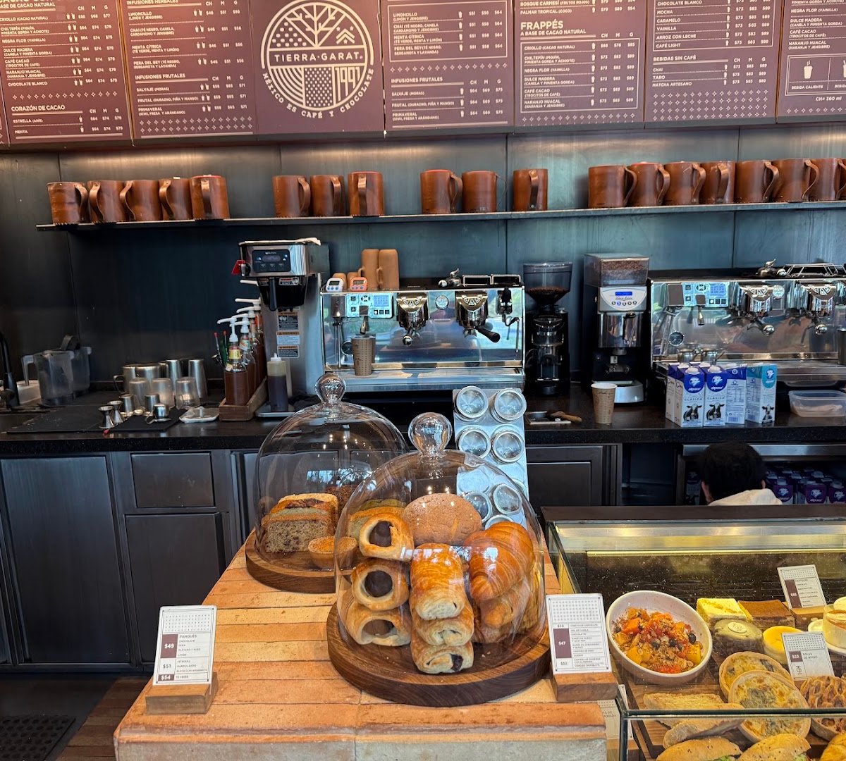 Interior of Tierra Garat Porfirio Díaz, specialty coffee shop in Mexico City