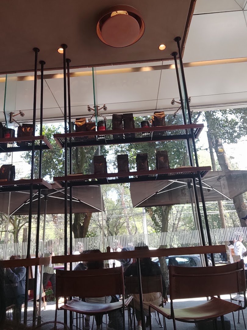 Interior of Tierra Garat Porfirio Díaz, specialty coffee shop in Mexico City