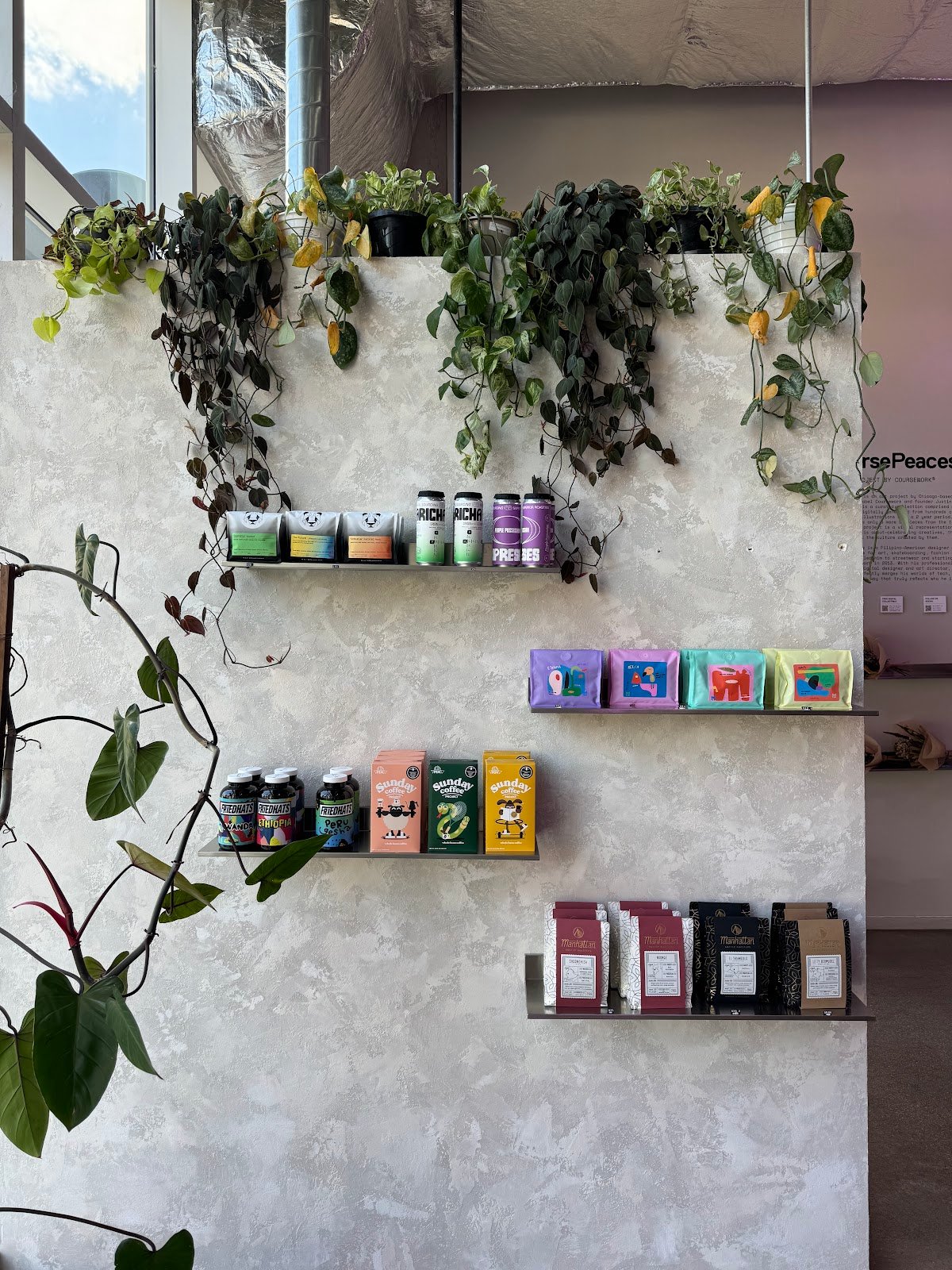 Drip Collective specialty coffee shop in Chicago - photo 4