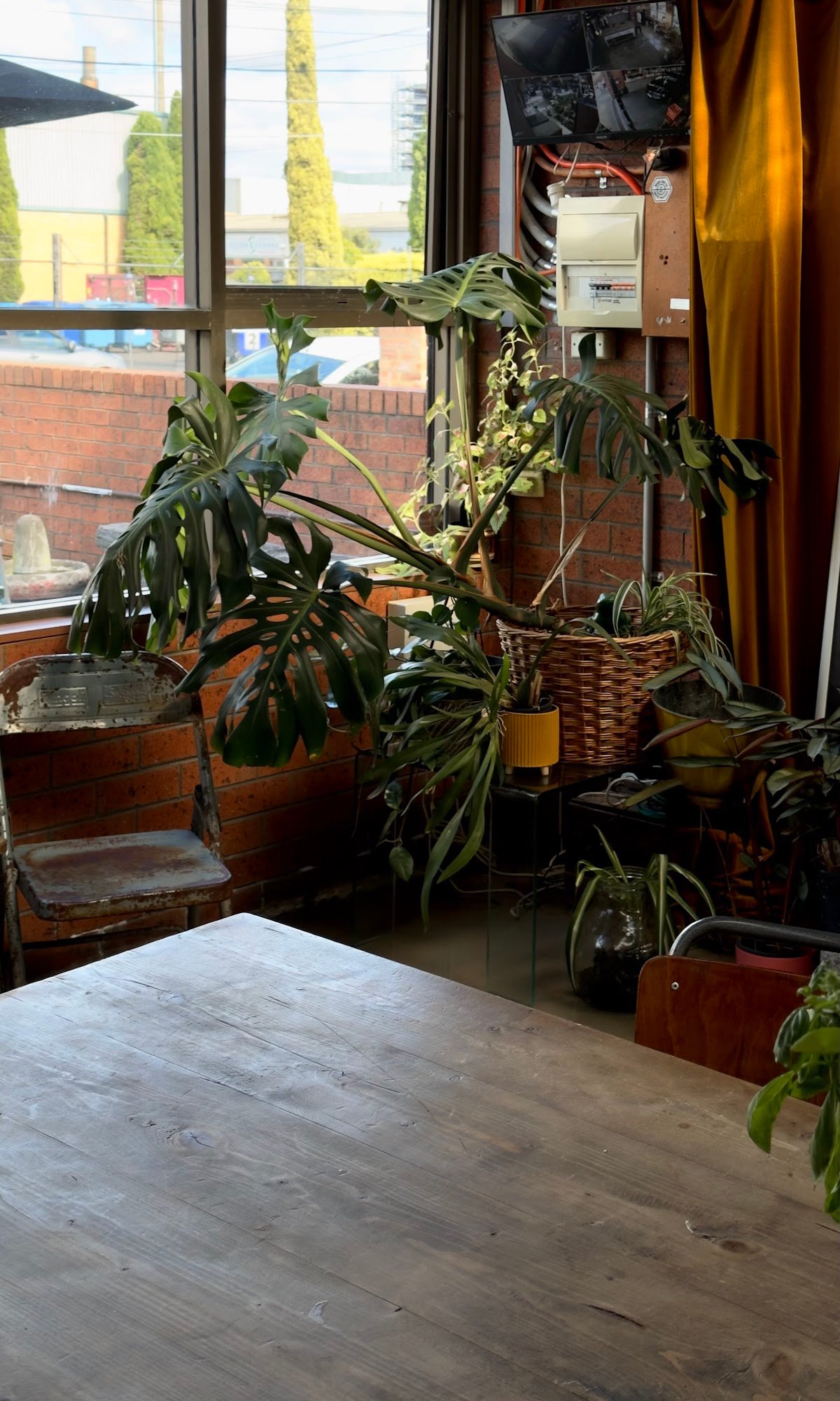 Wood and Co Coffee specialty coffee shop in Melbourne - photo 7