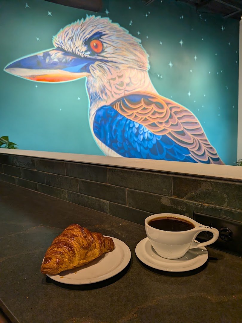 Interior of Perch Coffee, specialty coffee shop in Salt Lake City