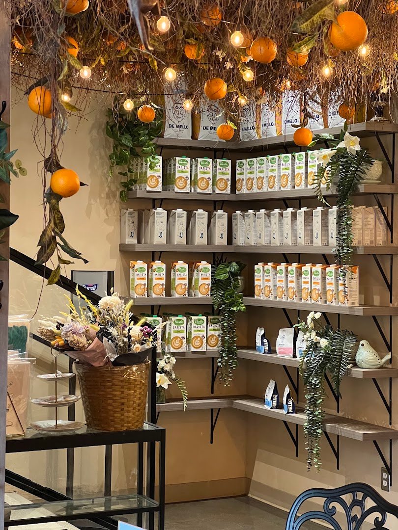 Interior of SoLIT Café, specialty coffee shop in Montreal