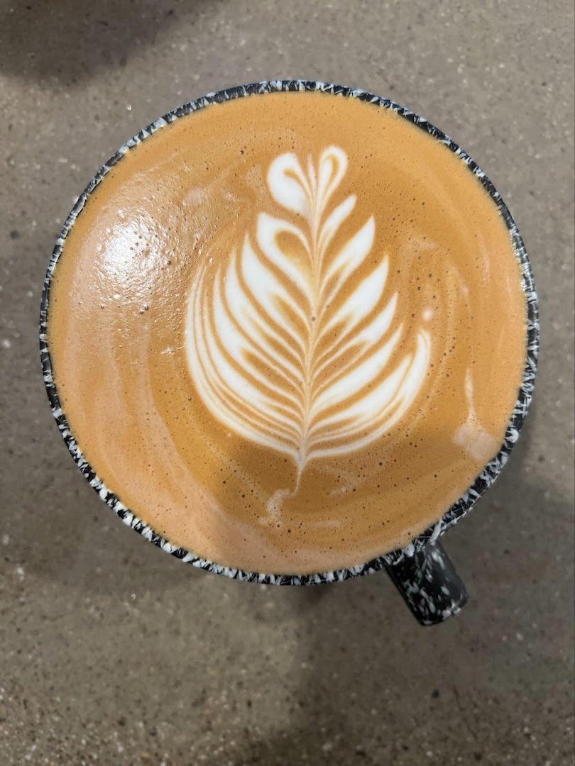 Coffee at Eden Espresso Bar, specialty coffee shop in Auckland