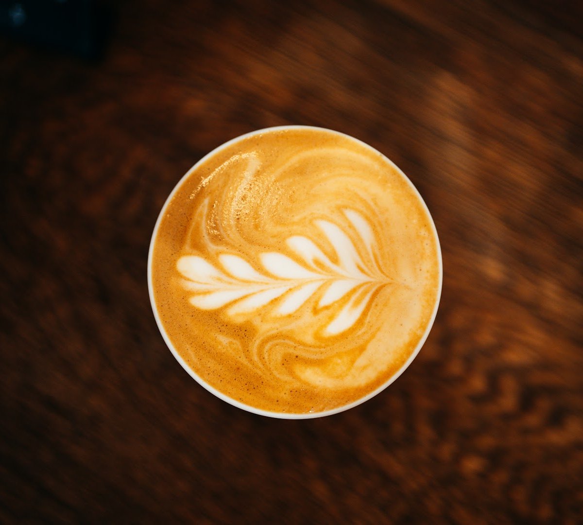 Garcia | Kaffeebar specialty coffee shop in Berlin - photo 2