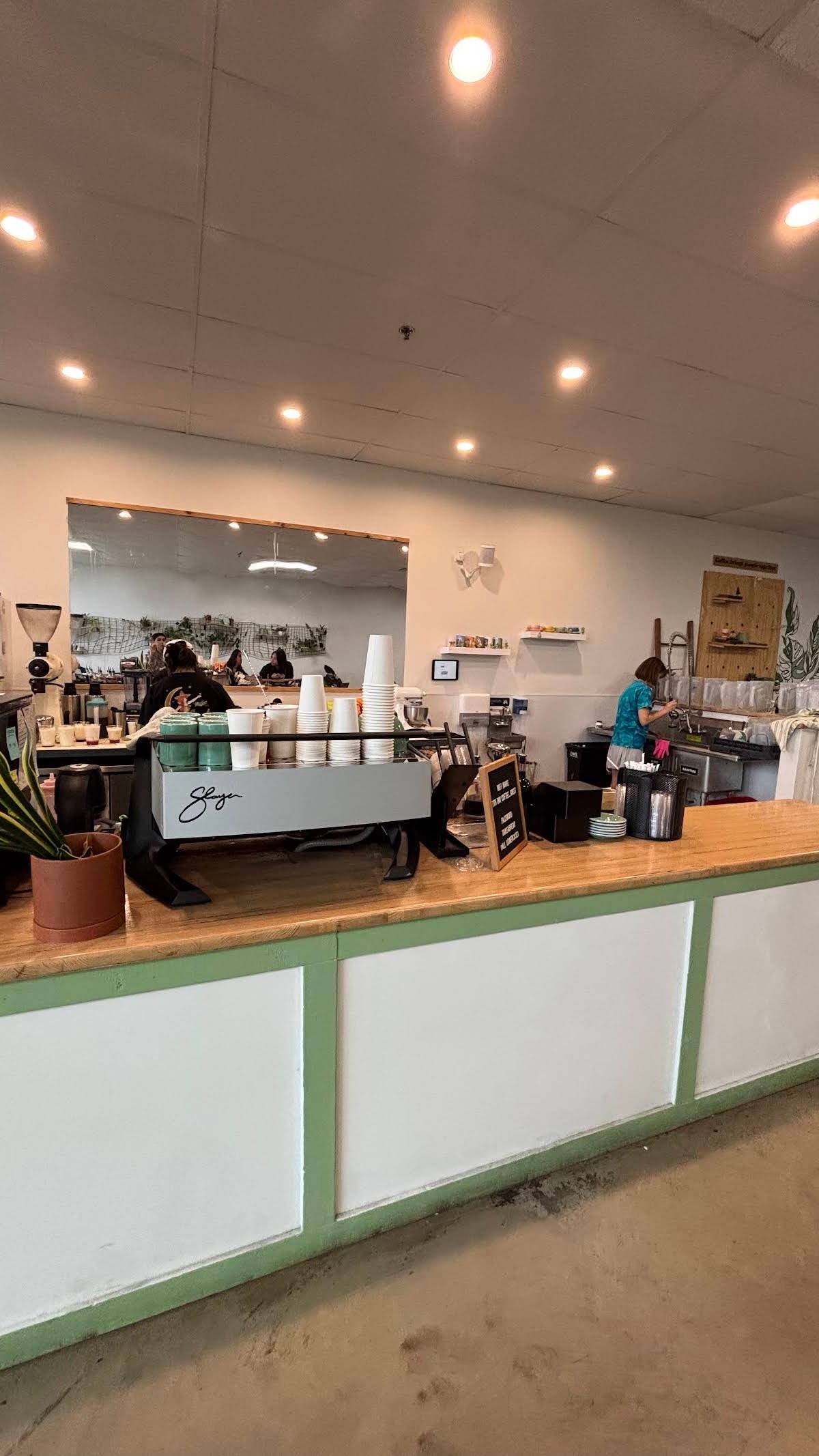 7th Day Coffee specialty coffee shop in Dallas - photo 4