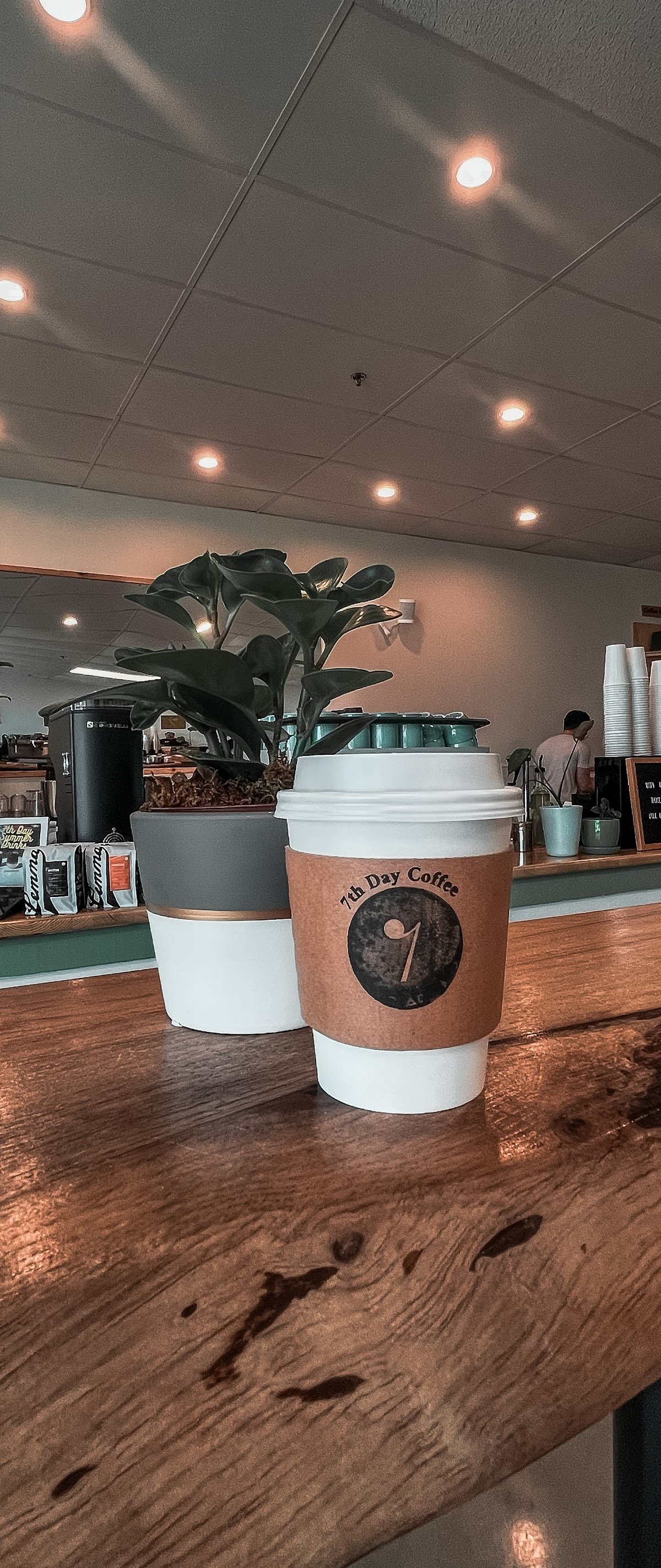 7th Day Coffee specialty coffee shop in Dallas - photo 8