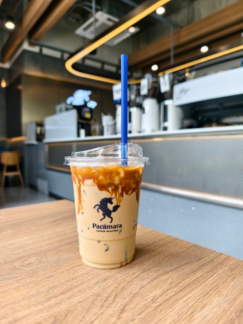 Pacamara Coffee Roasters (PTT Vibhavadi62) specialty coffee shop in Bangkok - photo 3
