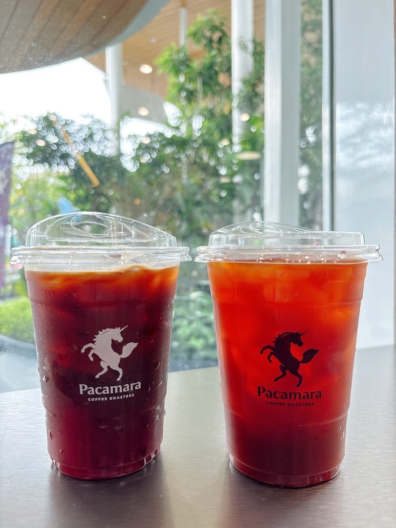 Pacamara Coffee Roasters (PTT Vibhavadi62) specialty coffee shop in Bangkok - photo 4