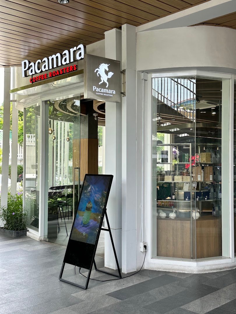 Pacamara Coffee Roasters (PTT Vibhavadi62) specialty coffee shop in Bangkok - photo 7