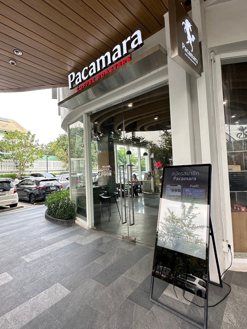 Pacamara Coffee Roasters (PTT Vibhavadi62) specialty coffee shop in Bangkok - photo 8